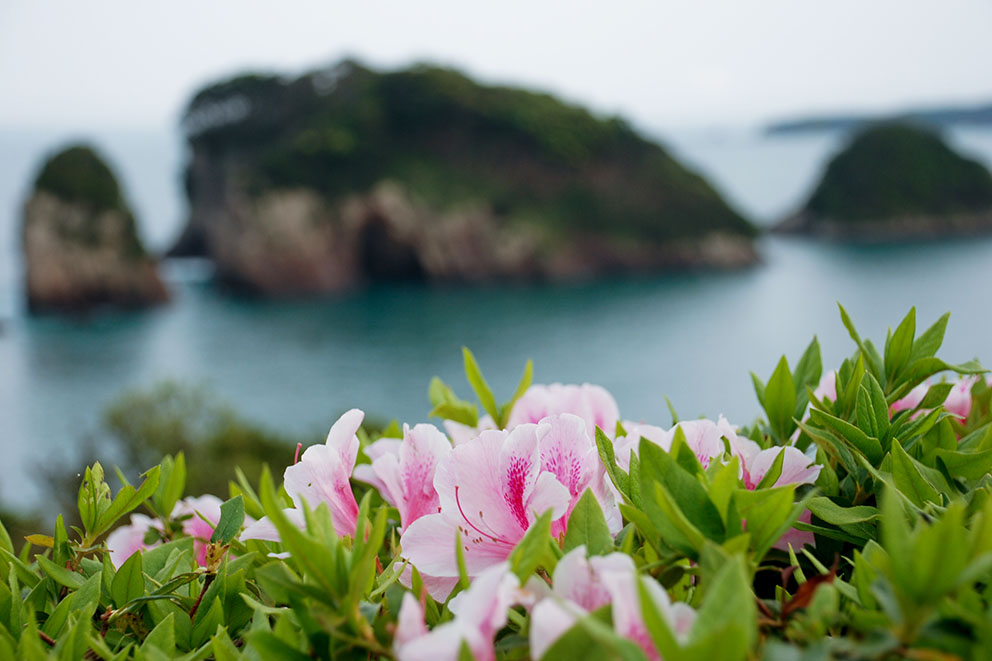 紀の松島