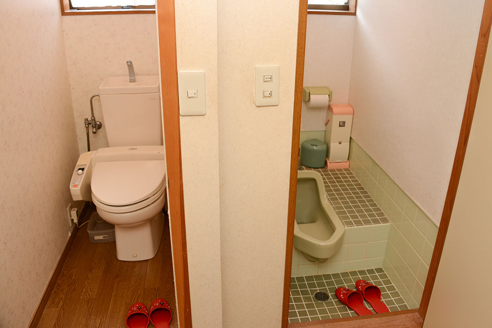 Toilet area