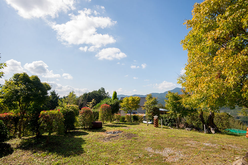 View from clearing near house