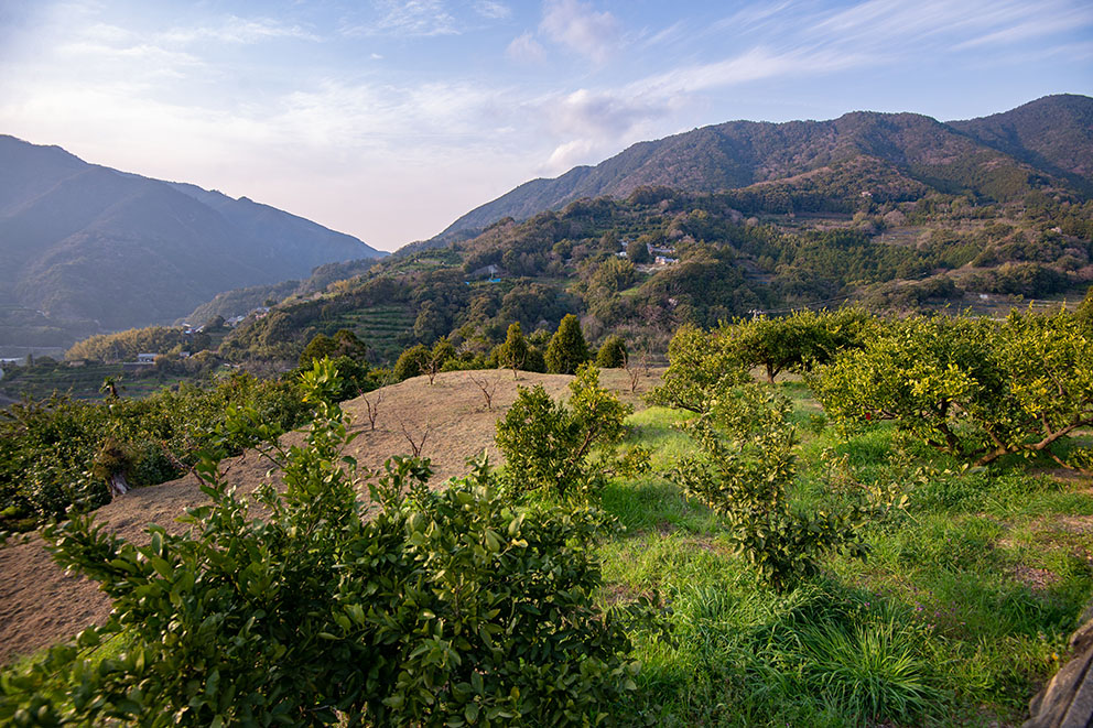 View from near house