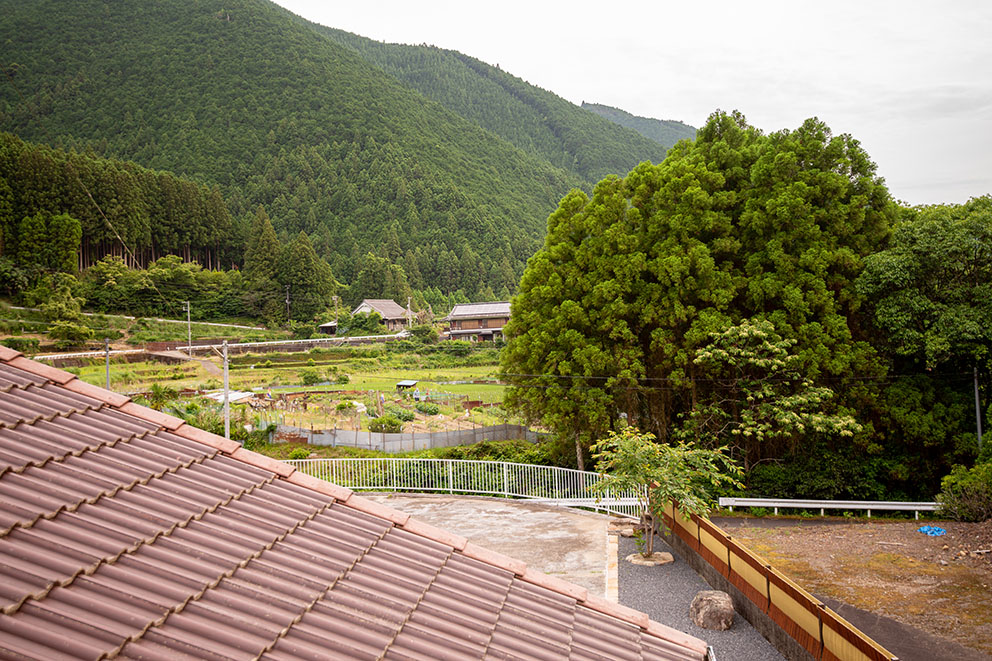 View from 2nd story guestroom