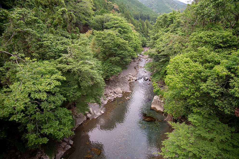 River near house