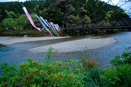 View from guesthouse