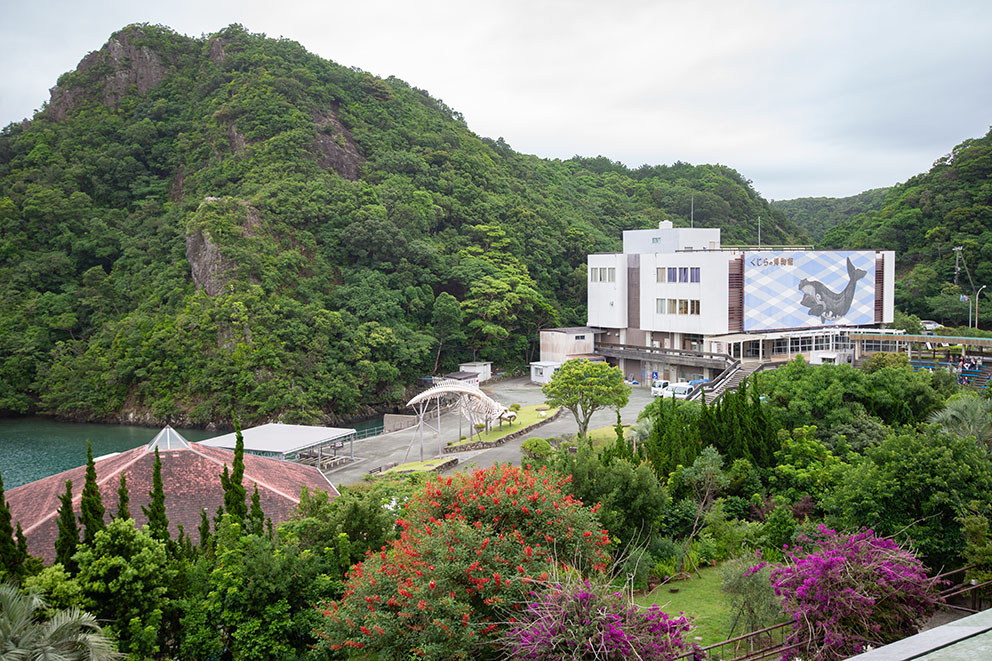 View of Taiji Whale museum