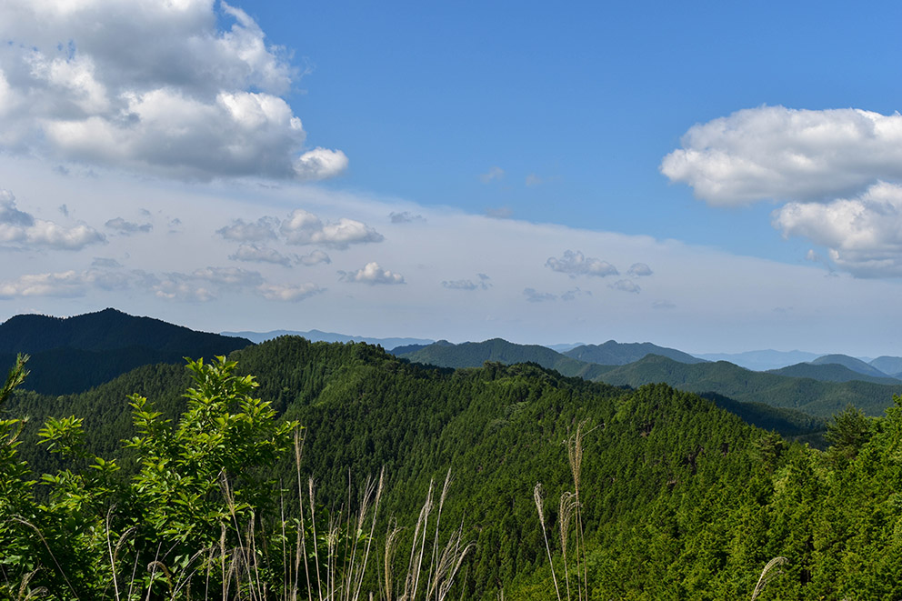 View from Nyonin-michi