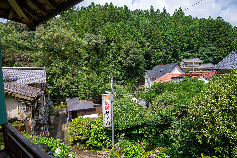 View from guestroom