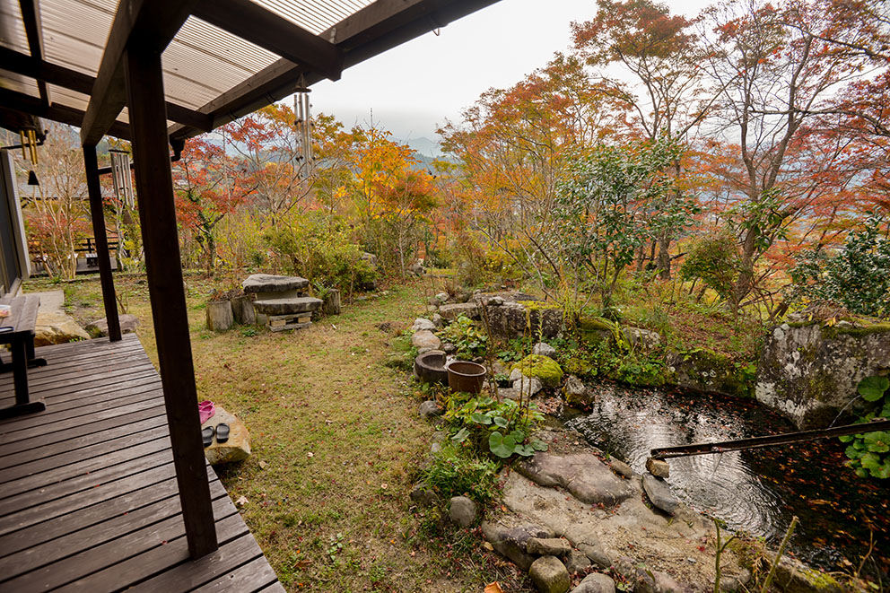 Cottage backyard