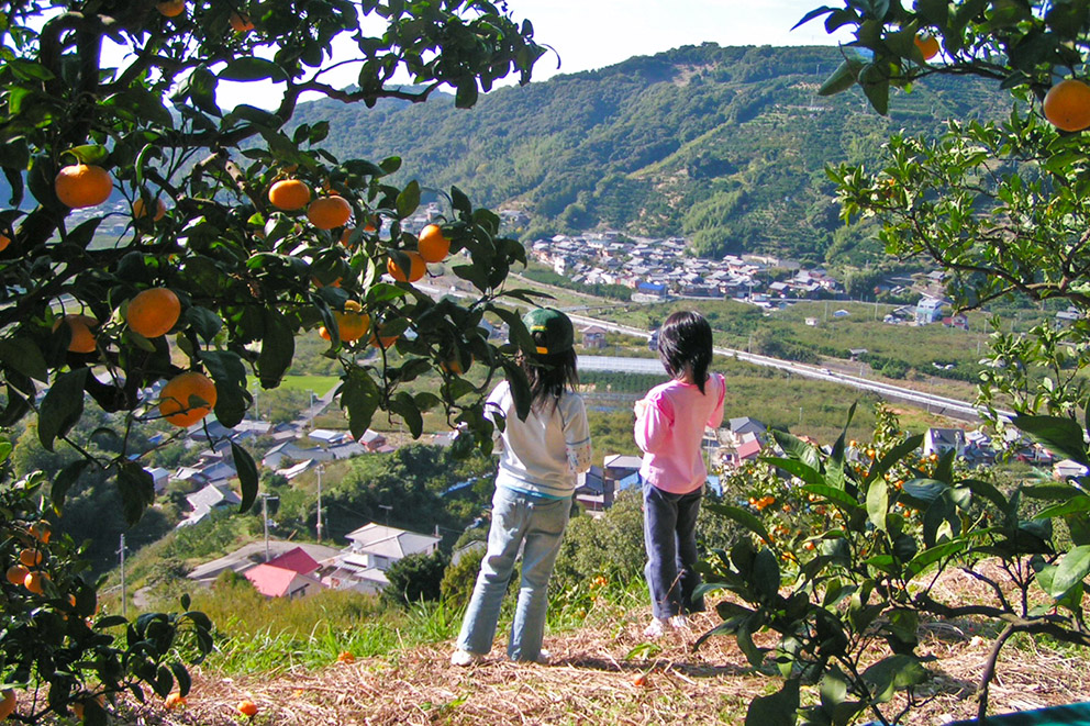 Surrounding agricultural fields