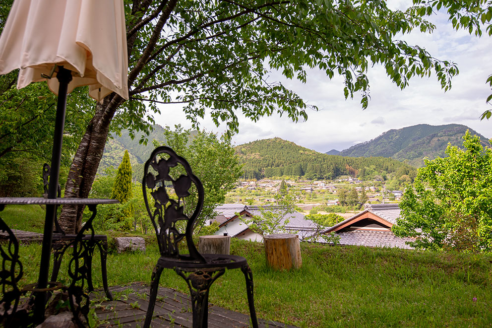 Sitting area in Cherry trees nearby