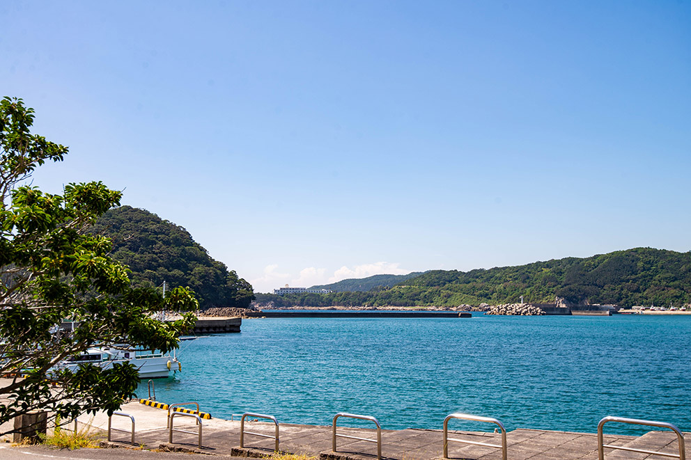 すさみ湾と稲積島