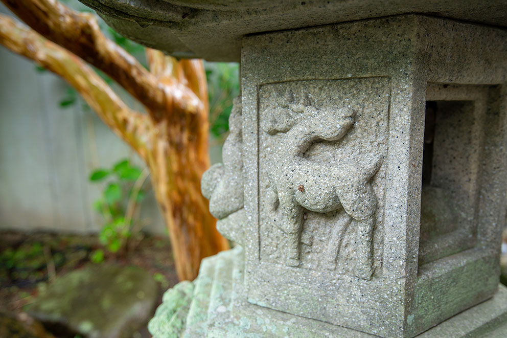 Stone lantern in garden