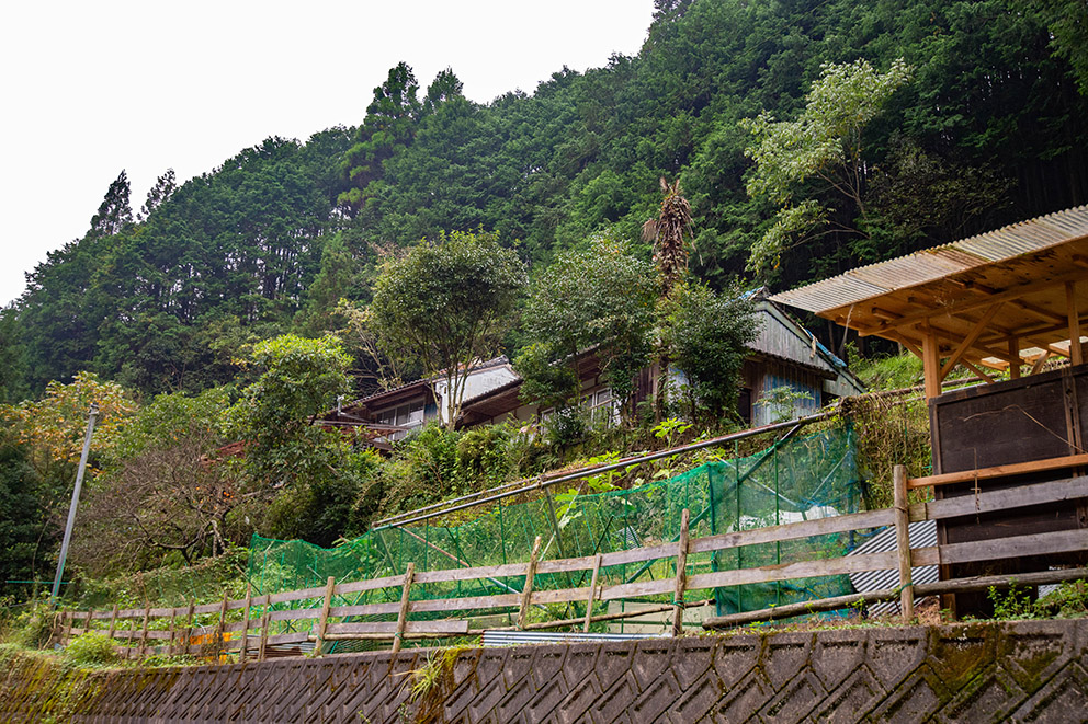 House located on hillside