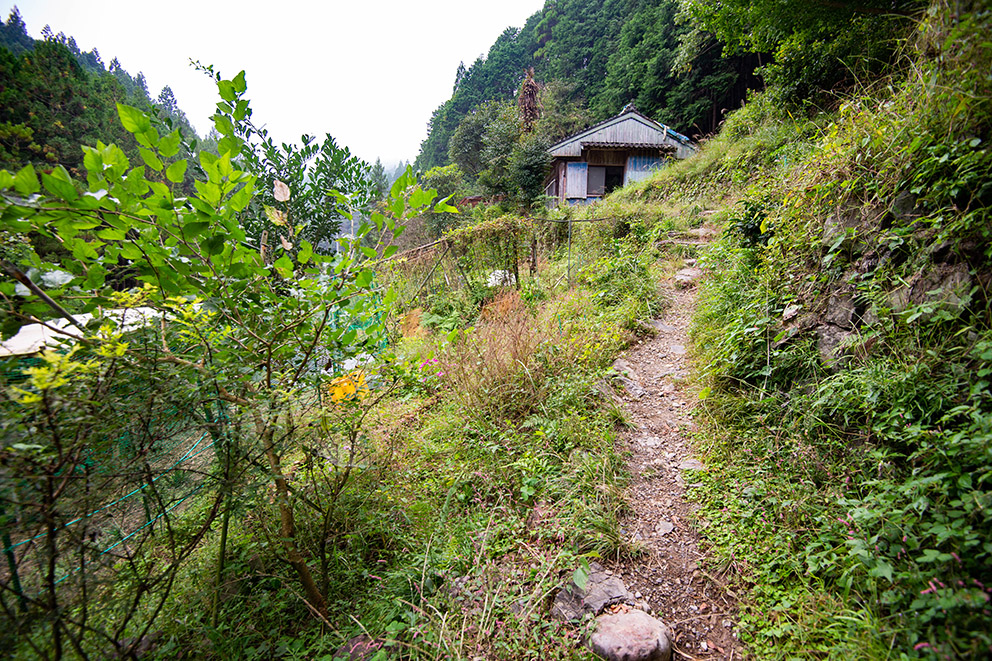 Entrance to house