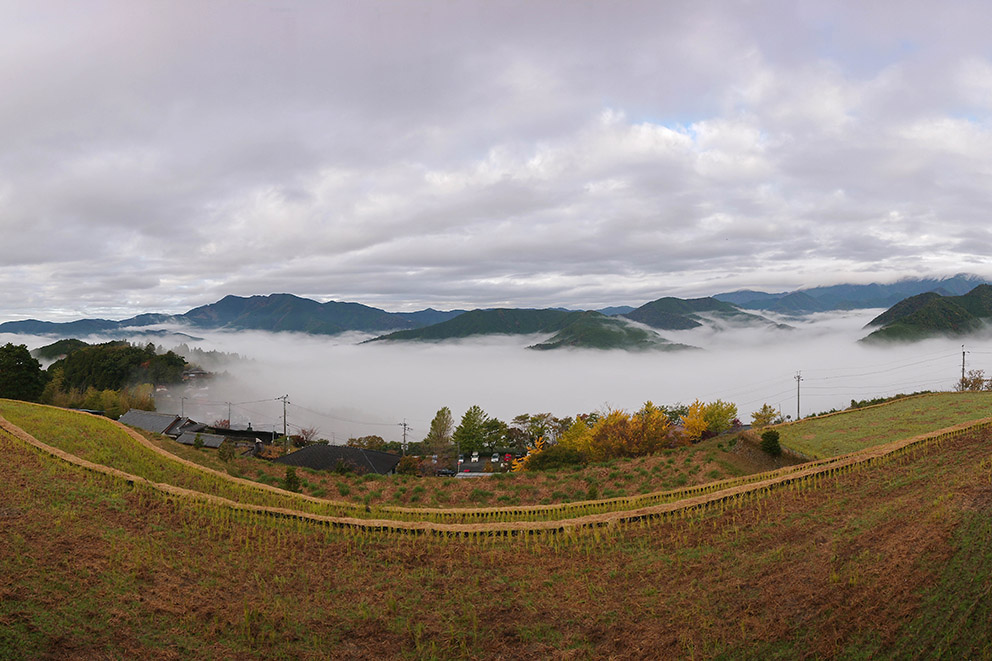 Morning sea of clouds