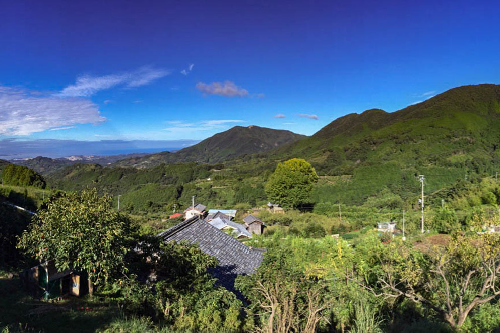 View from near house