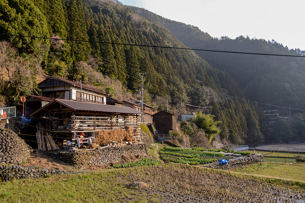 Kohechi Miura settlement