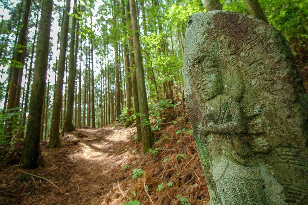 Kumano Kodo Kohechi