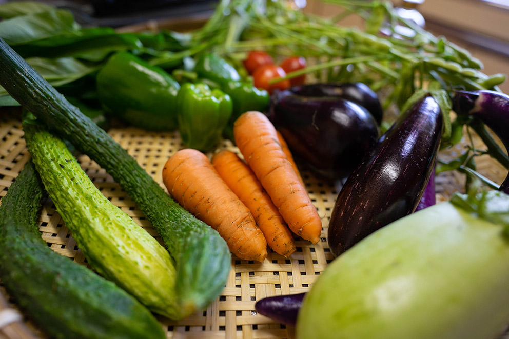 Fresh vegetable set